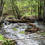 Jordan River