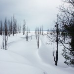Nordhouse Dunes